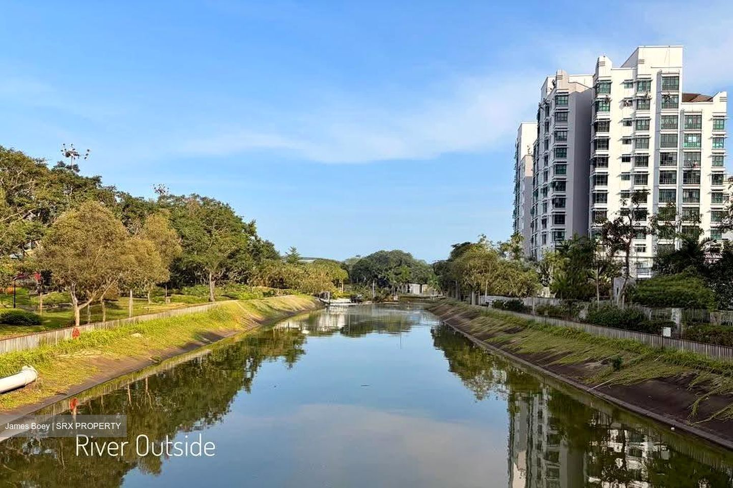 Blk 408 Pasir Ris Drive 6 (Pasir Ris), HDB Executive #608623261